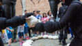 An outdoors Ants production photo. Two Polyglot artists in intricate Ant costumes exchange a giant breadcrumb. In the background is a group of children, standing behind a line of crumbs. They are in an alleyway with cobblestones and red-brick buildings.