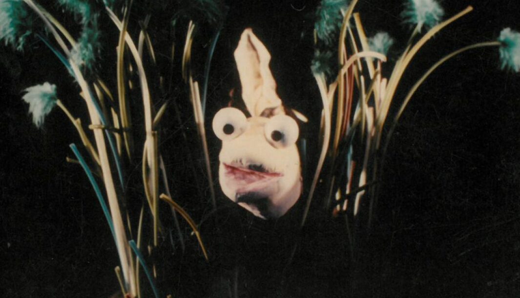 A Tadpole production photo. A tadpole puppet with two large eyes on the top of its head poses in between grass rushes.
