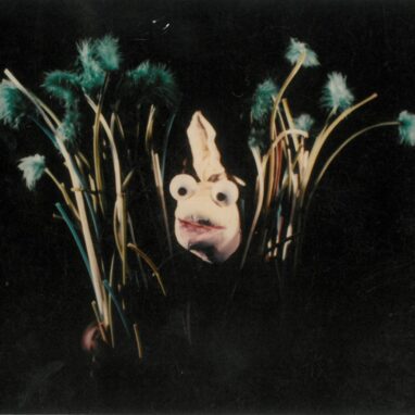 A Tadpole production photo. A tadpole puppet with two large eyes on the top of its head poses in between grass rushes.