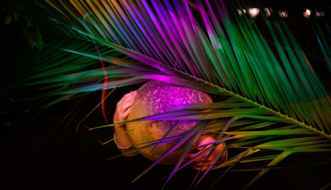A When the World Turns photo. A child holds a large spherical object under a large palm leaf. It is night and the image is dark, with deep purple tones. Photographer: Sarah Walker