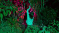 A When the World Turns photo. A child A child dances amongst a variety of plants and foliage. It is night and the image is dark, with deep purple tones. Photographer: Sarah Walker