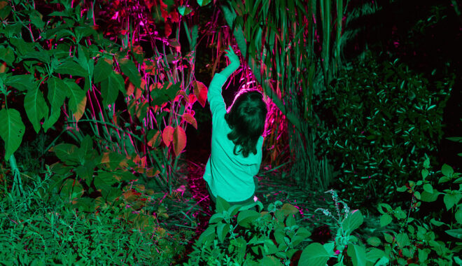 A When the World Turns photo. A child A child dances amongst a variety of plants and foliage. It is night and the image is dark, with deep purple tones. Photographer: Sarah Walker