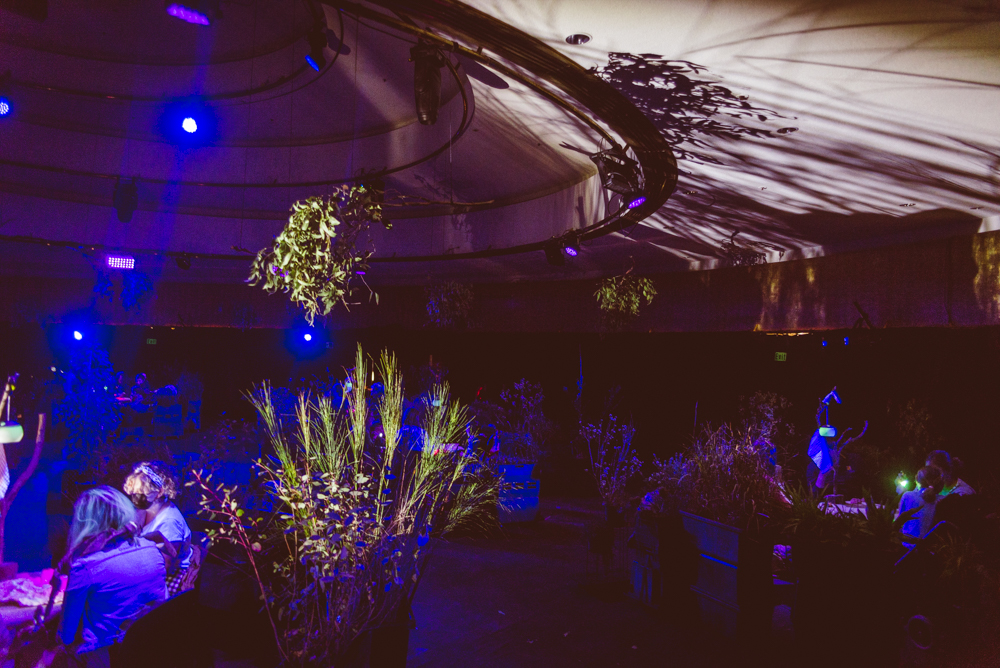A When the World Turns production photo. A large dark, indoor space, divided into circles with plants, theatrically lit. People sit at small tables in the centre of each circle. The plants cast dramatic shadows on the ceiling. Photographer: Theresa Harrison
