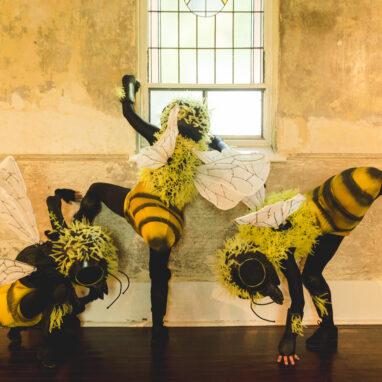 A Bees Production photo. Three characters dressed as bees gather around a closed window. One of the bees climbs towards the window while the other two bees bend down towards the ground beneath them.
