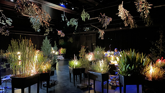 A behind-the-scenes bump-in photo of When the World Turns at Bunjil Place. Circles of plants in various stands, arranged around small tables and chairs, are set in a large, darkened space, illuminated by bright theatrical lighting. Large tree branches are suspended from the ceiling.