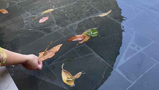 A FLOAT photo. A hand offers a leaf boat into the MPavilion 10 reflecting pool, where other leaf boats float. Photographer: Rainbow Sweeny.