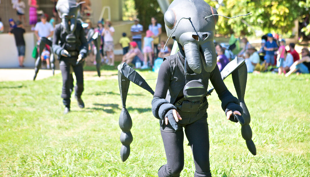 An Ants production photo. Polyglot artists in intricate black Ant costumes make their way across a green lawn. Children and families are visible in the background. Photo: William Hall, 2013