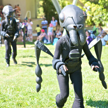 An Ants production photo. Polyglot artists in intricate black Ant costumes make their way across a green lawn. Children and families are visible in the background. Photo: William Hall, 2013