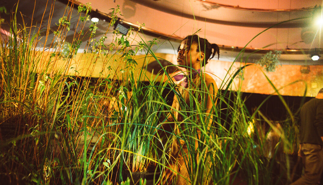 A When the World Turns production photo. A Polyglot artist in khaki stands in a theatrically lit space, surrounded by native grasses and plants. Photographer: Theresa Harrison.