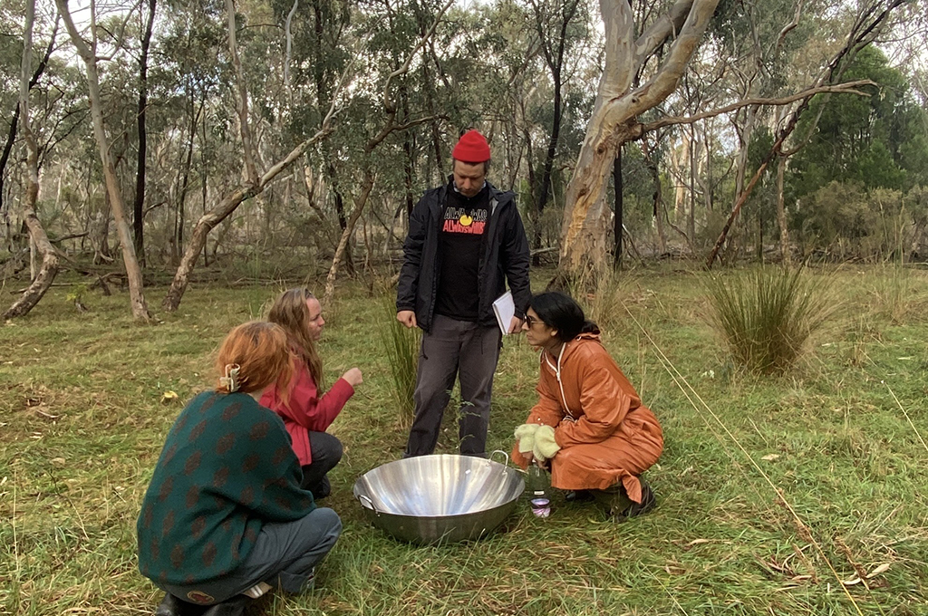 Behind-the-scenes, Forest creative development. Photo: Maisy Butchart. Four Polyglot artists gather around a large silver dish filled with water. They are in a bushland clearing, surrounded by trees.