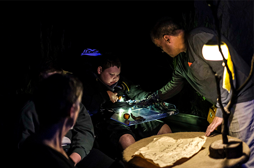 WTWT production photo: A child interacts with a Polyglot artist as they look at objects with a flashlight. Photo: Suzanne Phoenix.