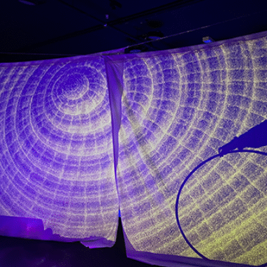 Sound Shadows photo: Steph O'Hara. A silhouette of a Polyglot artist holding a hoop, against a large screen illuminated by a projection of a shell.