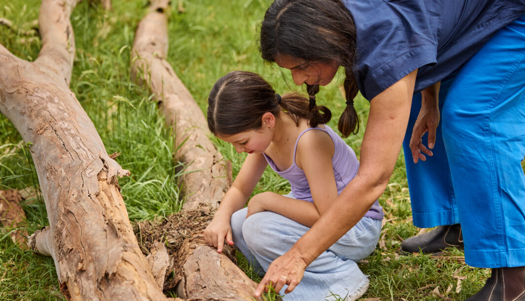 Forest workshops report: A child and Polyglot artist inspect a tree trunk. Photo: Laura May Grogan.