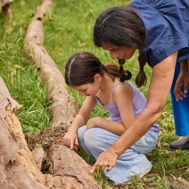 Forest workshops report: A child and Polyglot artist inspect a tree trunk. Photo: Laura May Grogan.