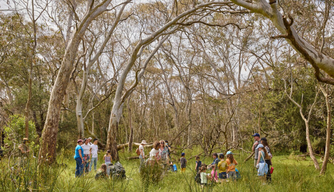 Forest production photo: Laura May Grogan. Children, families and Polyglot artists create and play in a bushland clearing. They are surrounded by trees and long grasses.