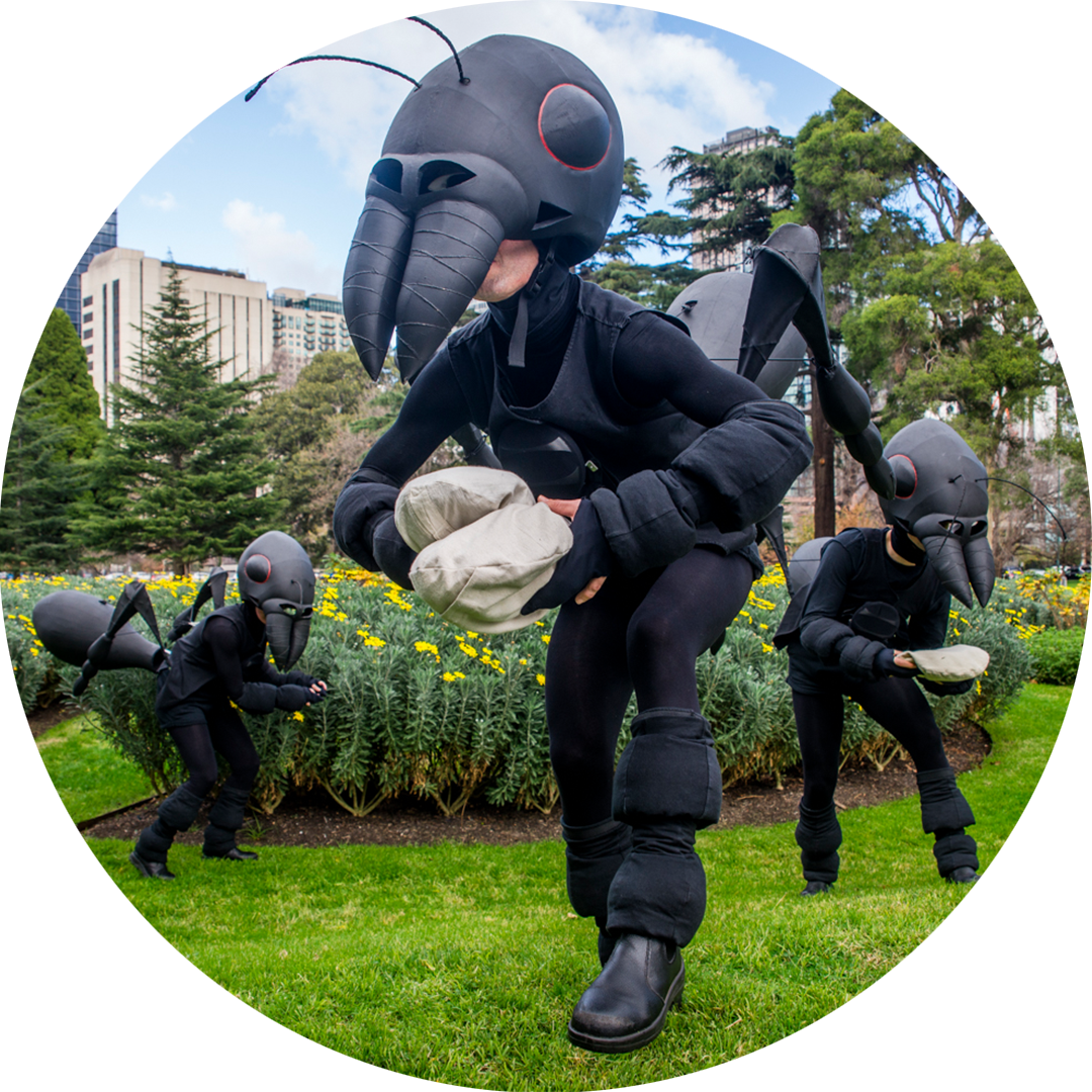 Ants production photo: Theresa Harrison. Three Polyglot artists in intricate back Ant costumes stand in a park, holding giant breadcrumbs. Blue sky, trees and tall buildings are visible in the background.