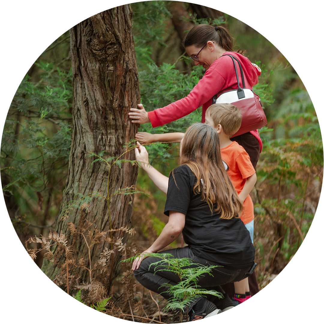Forest production photo: Claudia Sangiorgi Dalimore. A Polyglot artist, child and adult stand closely to a tree trunk, exploring its surface through touch.