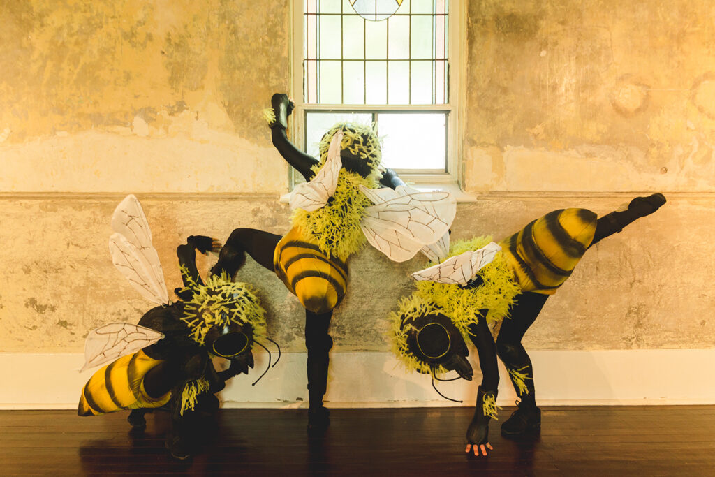 Bees production photo: Theresa Harrison. Three Polyglot artists in intricate yellow, black and white Bee costumes create a stylised tableau. They are in a heritage room, next to a leadlight window. 