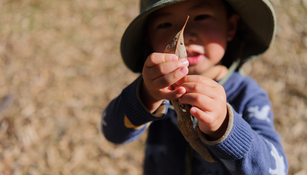 Forest production photo: Sarah Walker. A child in a green hat and blue jumper holds a leaf up to the camera.