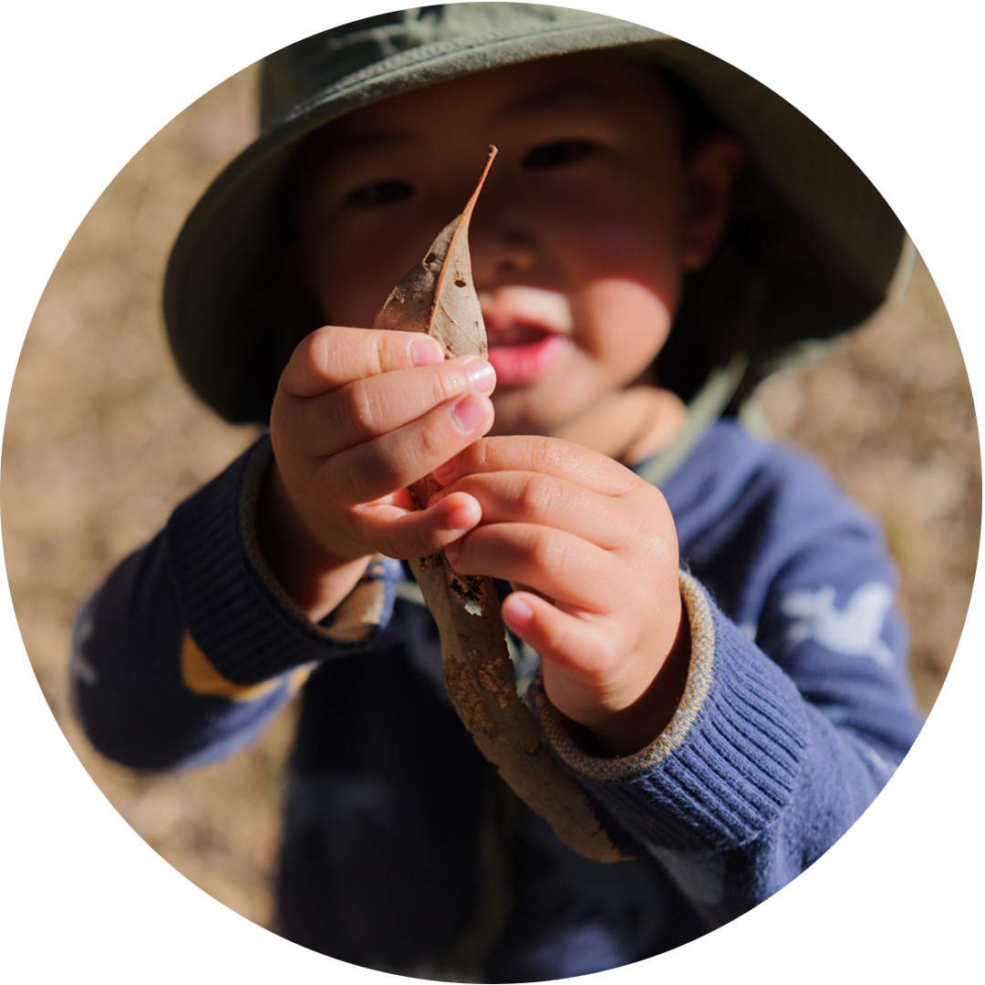 Forest production photo: Sarah Walker. A child in a green hat and blue jumper holds a leaf up to the camera.