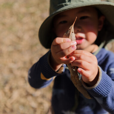 Forest production photo: Sarah Walker. A child in a green hat and blue jumper holds a leaf up to the camera.