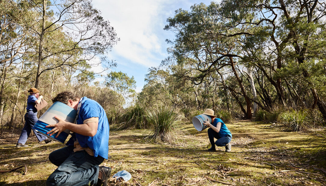 Forest production photo: Laura May Grogan. Polyglot artists dressed in blue crouch in a bushland clearing, studying elements of the landscape through round blue lampshades. A stage manager walks behind them. They are surrounded by trees.