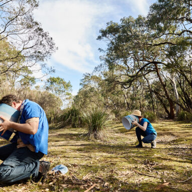 Forest production photo: Laura May Grogan. Polyglot artists dressed in blue crouch in a bushland clearing, studying elements of the landscape through round blue lampshades. A stage manager walks behind them. They are surrounded by trees.